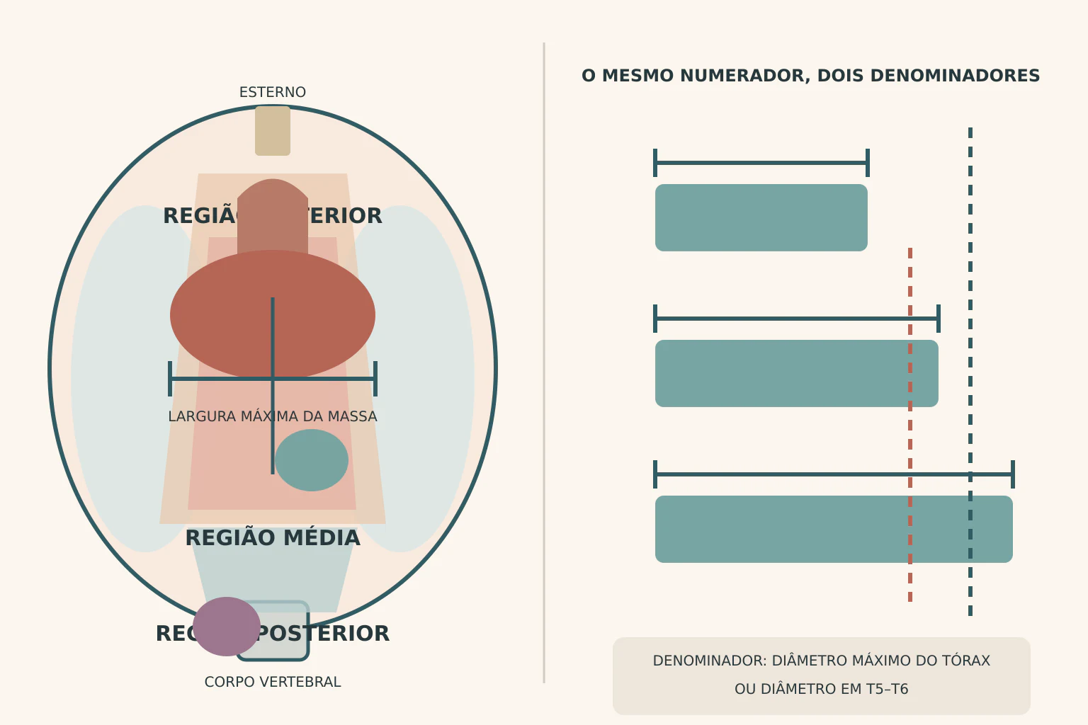 Prancha em duas metades: corte transversal do tórax com as três regiões do mediastino e um compasso medindo a largura da massa anterior; ao lado, barras com compassos e duas linhas tracejadas marcando dois denominadores diferentes.