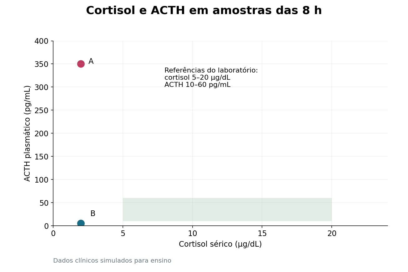 Imagem da questão