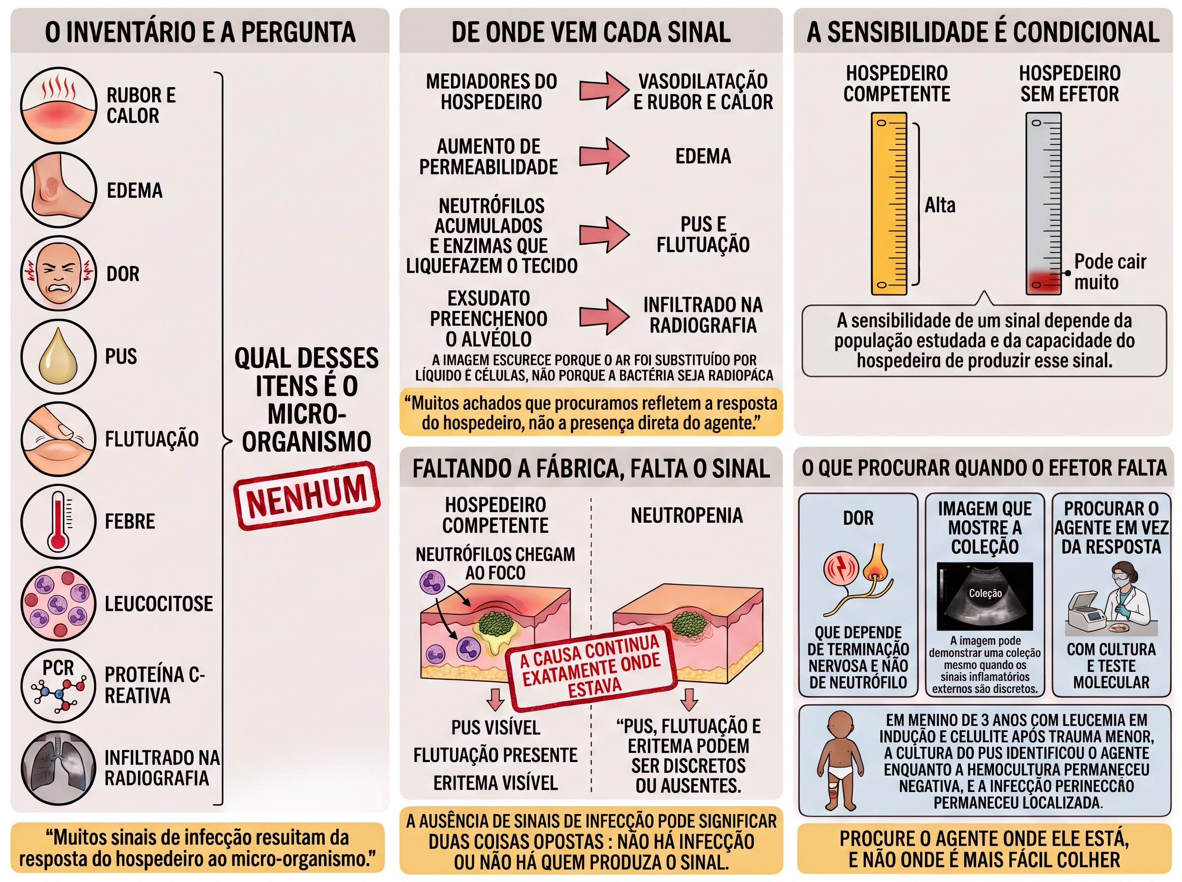 Lista de achados inflamatórios com o carimbo de que nenhum é o micro-organismo, setas ligando mecanismos do hospedeiro a cada sinal, duas colunas comparando hospedeiro competente e neutropênico com o mesmo foco, e caixas sobre o que procurar quando o efetor falta.