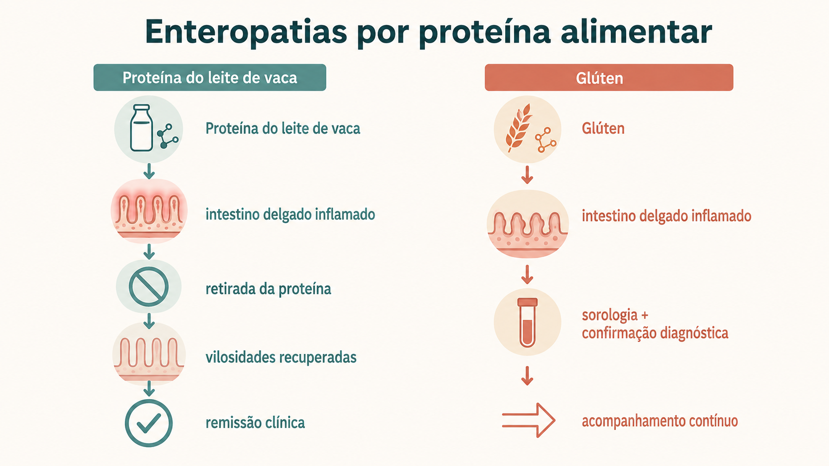 Dois fluxos comparativos: enteropatia por proteína do leite de vaca com retirada e recuperação das vilosidades, e doença celíaca com investigação diagnóstica e seguimento contínuo.